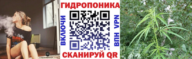 Хочу наркоту Карачаевск Марихуана  ОМГ ОМГ рабочий сайт  Кокаин  Гашиш  Меф  Лсд 25 