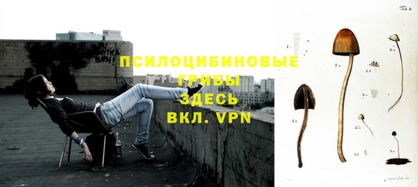 соль ск Алексеевка