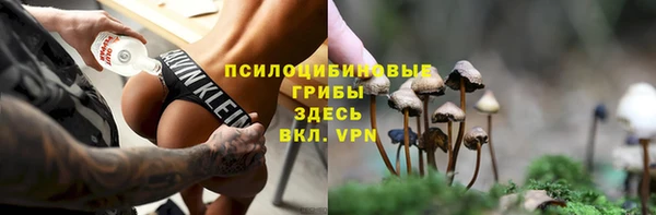 мескалин Покачи