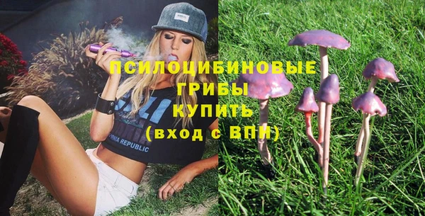 спиды Покровск